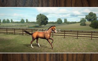 My Horse Resimleri