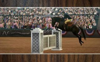 My Horse Resimleri