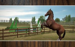 My Horse Resimleri