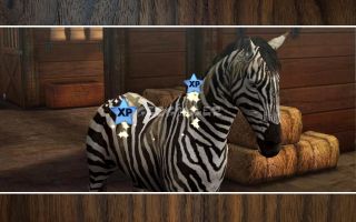 My Horse Resimleri