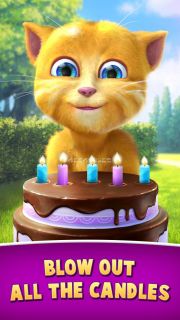 Ginger's Birthday Resimleri