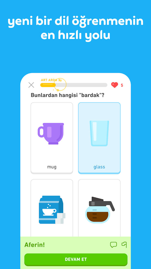 Duolingo: Dil ve Satranç Resimleri