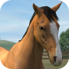 iPhone ve iPad My Horse Resim