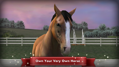 My Horse Resimleri