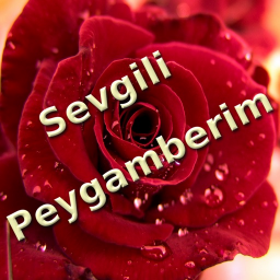 iPhone & iPad Peygamberim ikonu