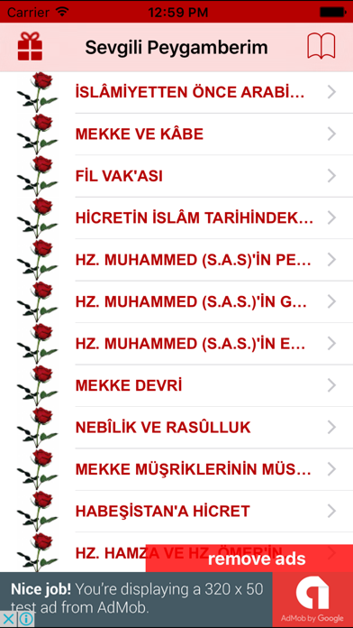 Peygamberim Resimleri