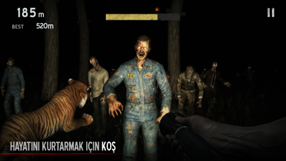Into the Dead Resimleri