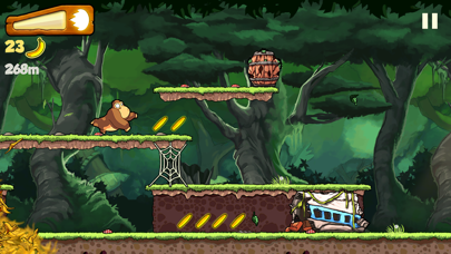 Banana Kong Resimleri