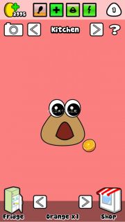 Pou Resimleri