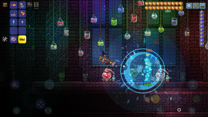 Terraria Resimleri