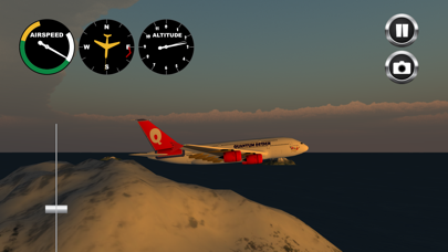 Airplane! Resimleri
