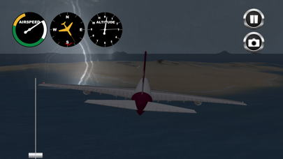Airplane! Resimleri