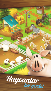 Hay Day Resimleri