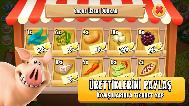 Hay Day Resimleri