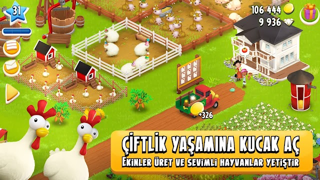Hay Day Resimleri