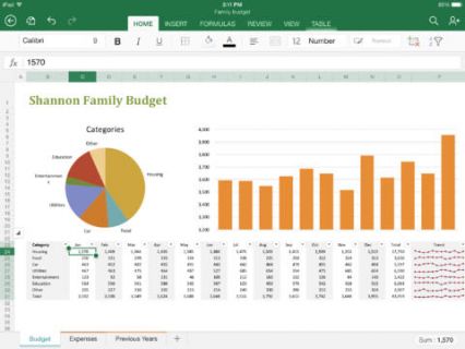 iPad iin Microsoft Excel Resimleri