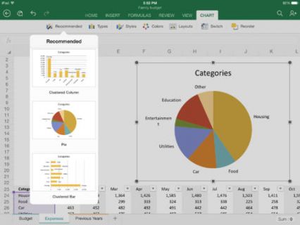 iPad iin Microsoft Excel Resimleri