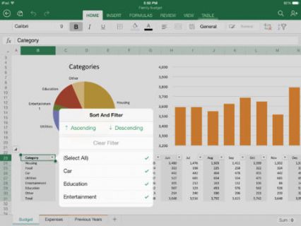 iPad iin Microsoft Excel Resimleri