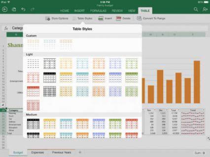 iPad iin Microsoft Excel Resimleri