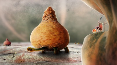 Botanicula Resimleri