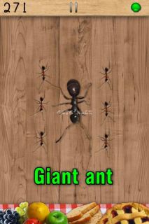 Ant Smasher Resimleri