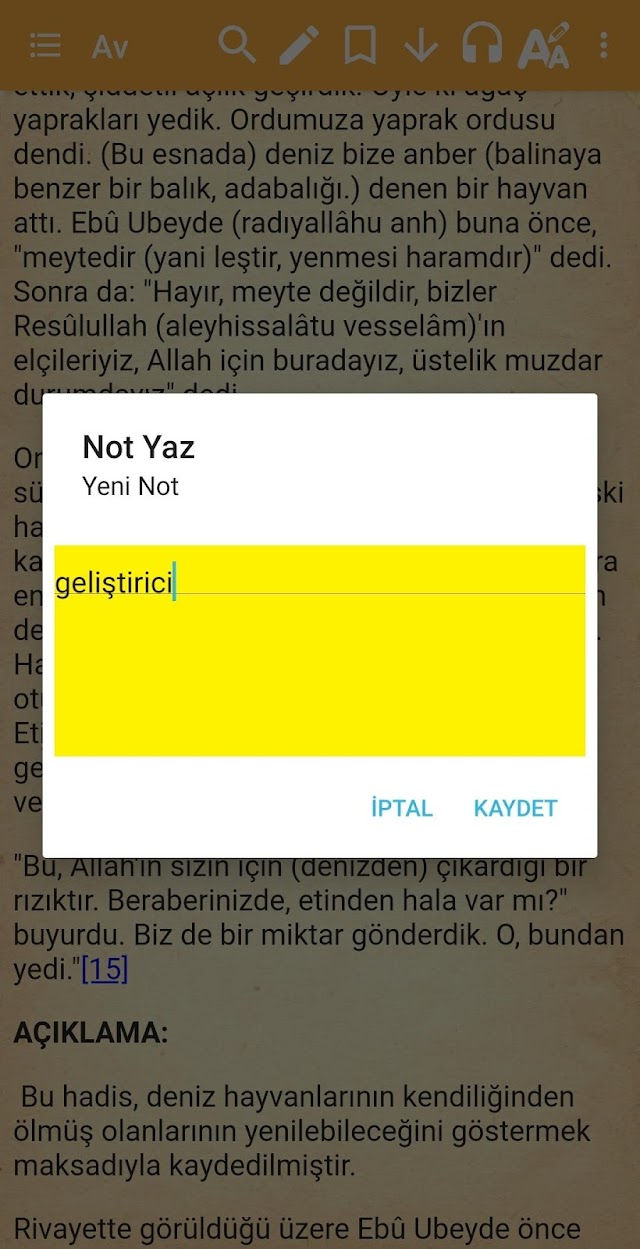 Kütüb-i Sitte Hadis Resimleri
