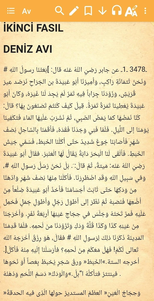 Kütüb-i Sitte Hadis Resimleri