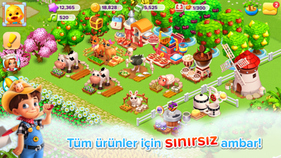 Bizim Çiftlik Sahil Resimleri
