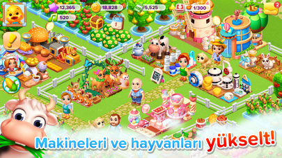 Bizim Çiftlik Sahil Resimleri