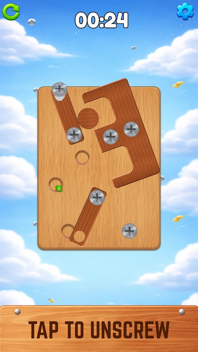 Nut Bolt Puzzle Challenge Resimleri