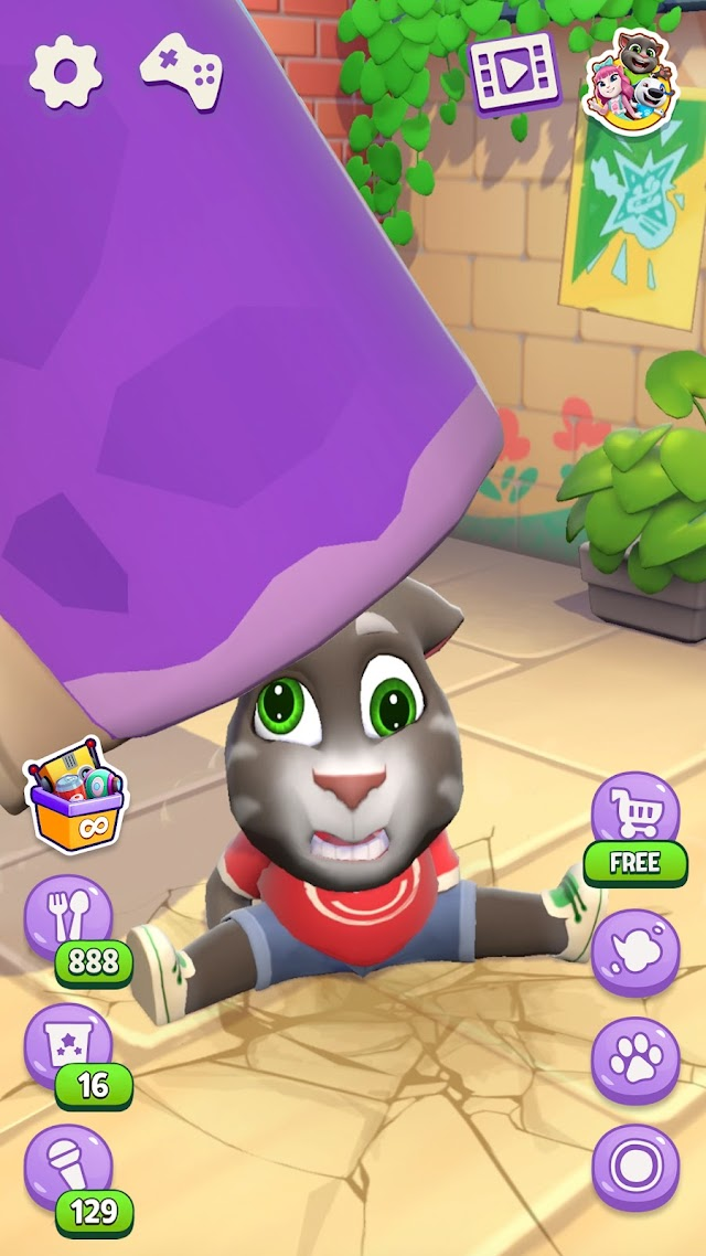 Konuşan Kedi Tom Resimleri