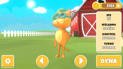 Pets & Planes - Uçak Yarışı Resimleri
