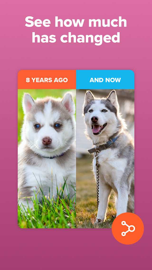 Timehop - Memories Then & Now Resimleri