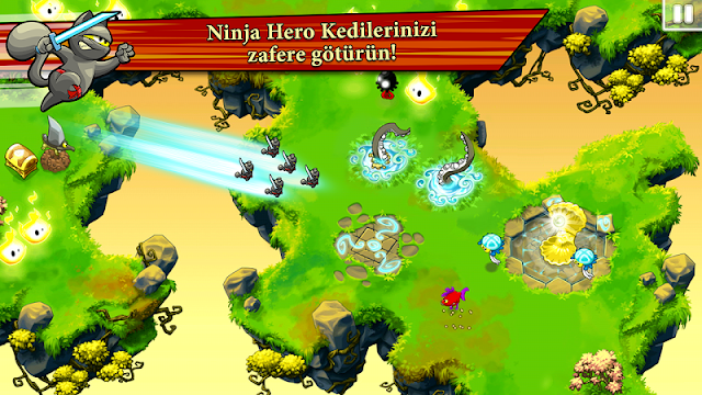 Ninja Hero Cats Resimleri