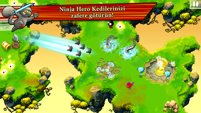 Ninja Hero Cats Resimleri
