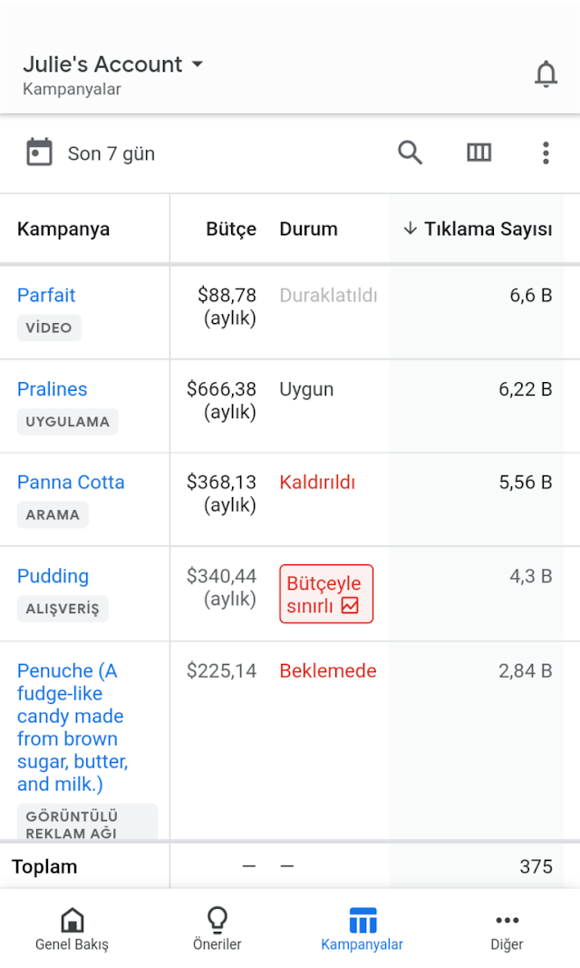 Google Ads Resimleri