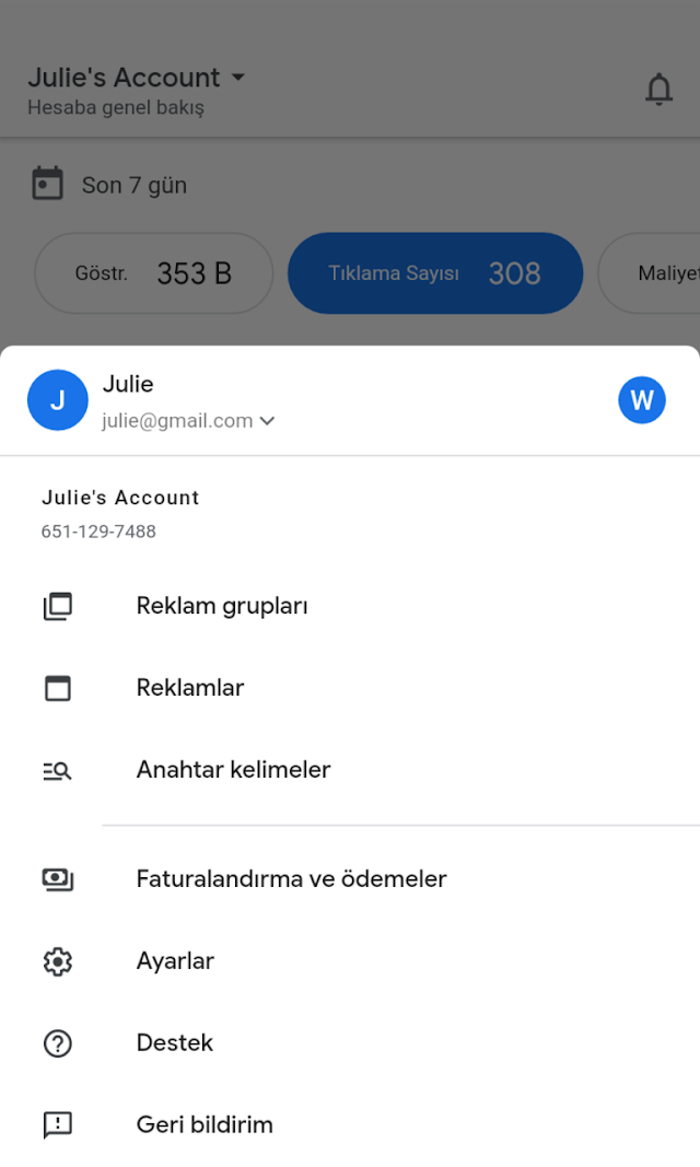 Google Ads Resimleri