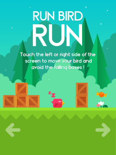 Run Bird Run Resimleri