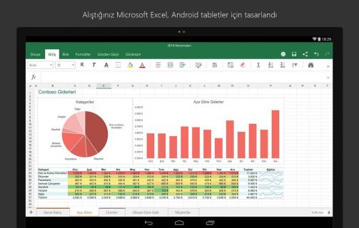 Tablet iin Microsoft Excel Resimleri