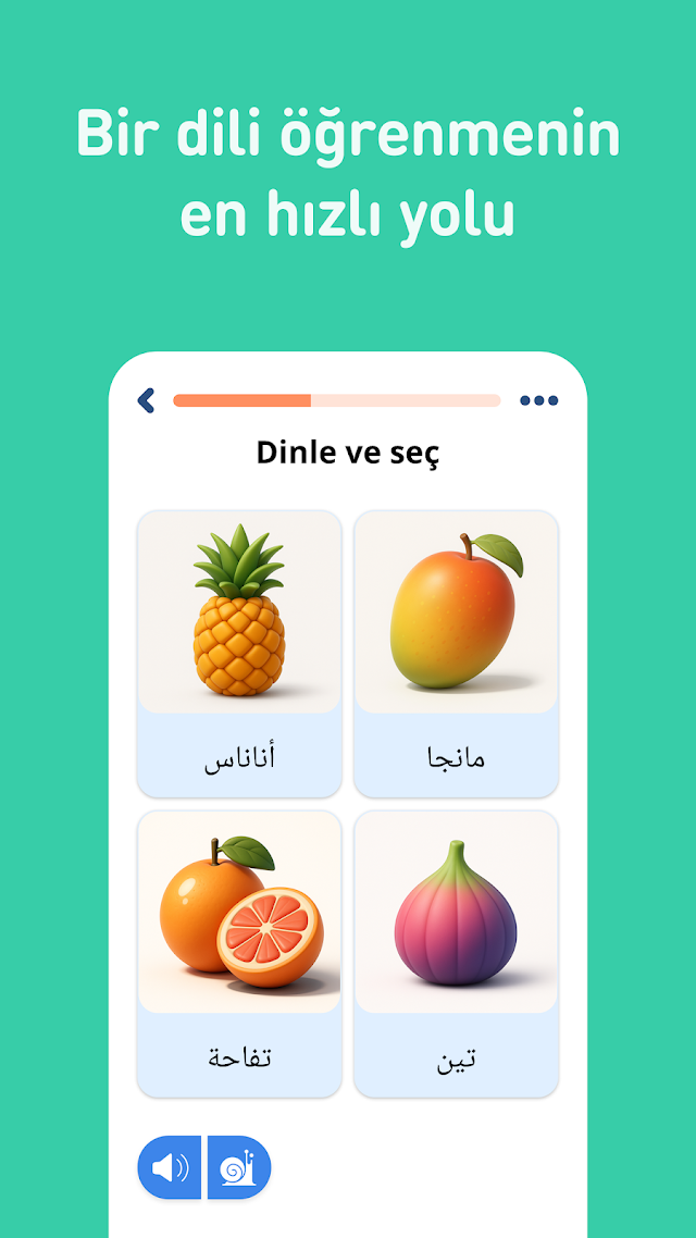 Arapça öğren - 11.000 kelime Resimleri