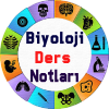 Android Biyoloji Ders Notlar Resim