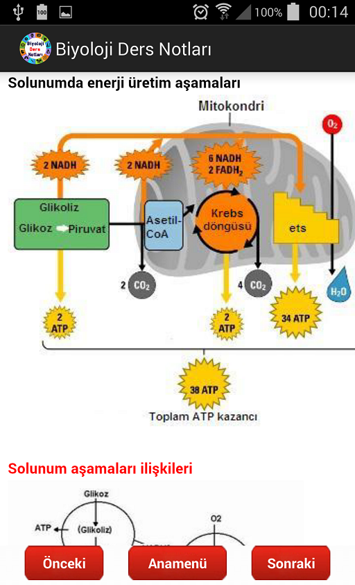 Biyoloji Ders Notları Resimleri