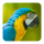 Bird Sounds Android indir