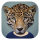 Animal Face Android indir