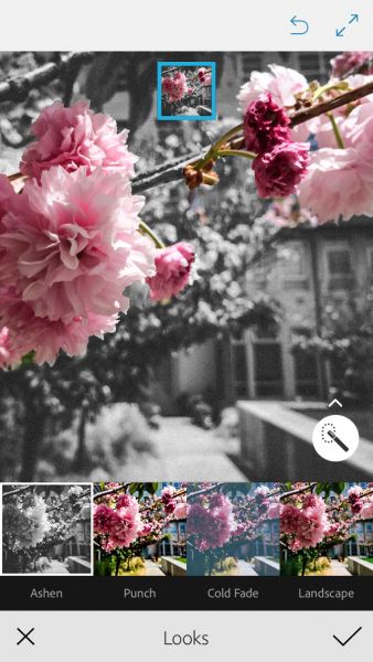 adobe photoshop mix apple adobe photoshop mix apple