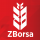 ZBorsa (Ziraat Yatırım Borsa) Android indir