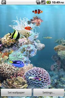 aniPet Aquarium LiveWallpaper Resimleri