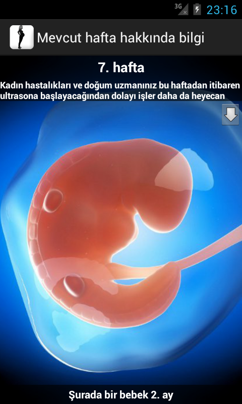 Gebelik takibi Resimleri