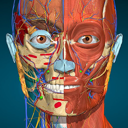 Android Anatomy Learning By Dr. Blanco ikonu