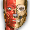 Android Anatomy Learning - 3D Atlas Resim